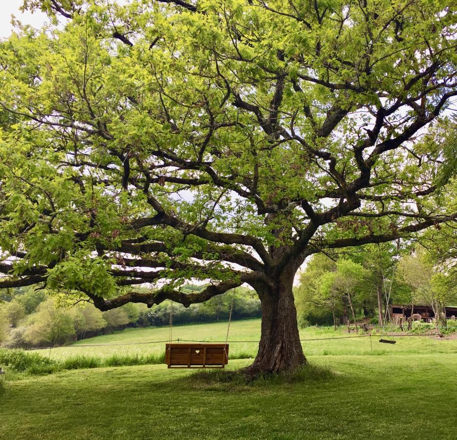 Domaine Le Rianon Bauernhof *
