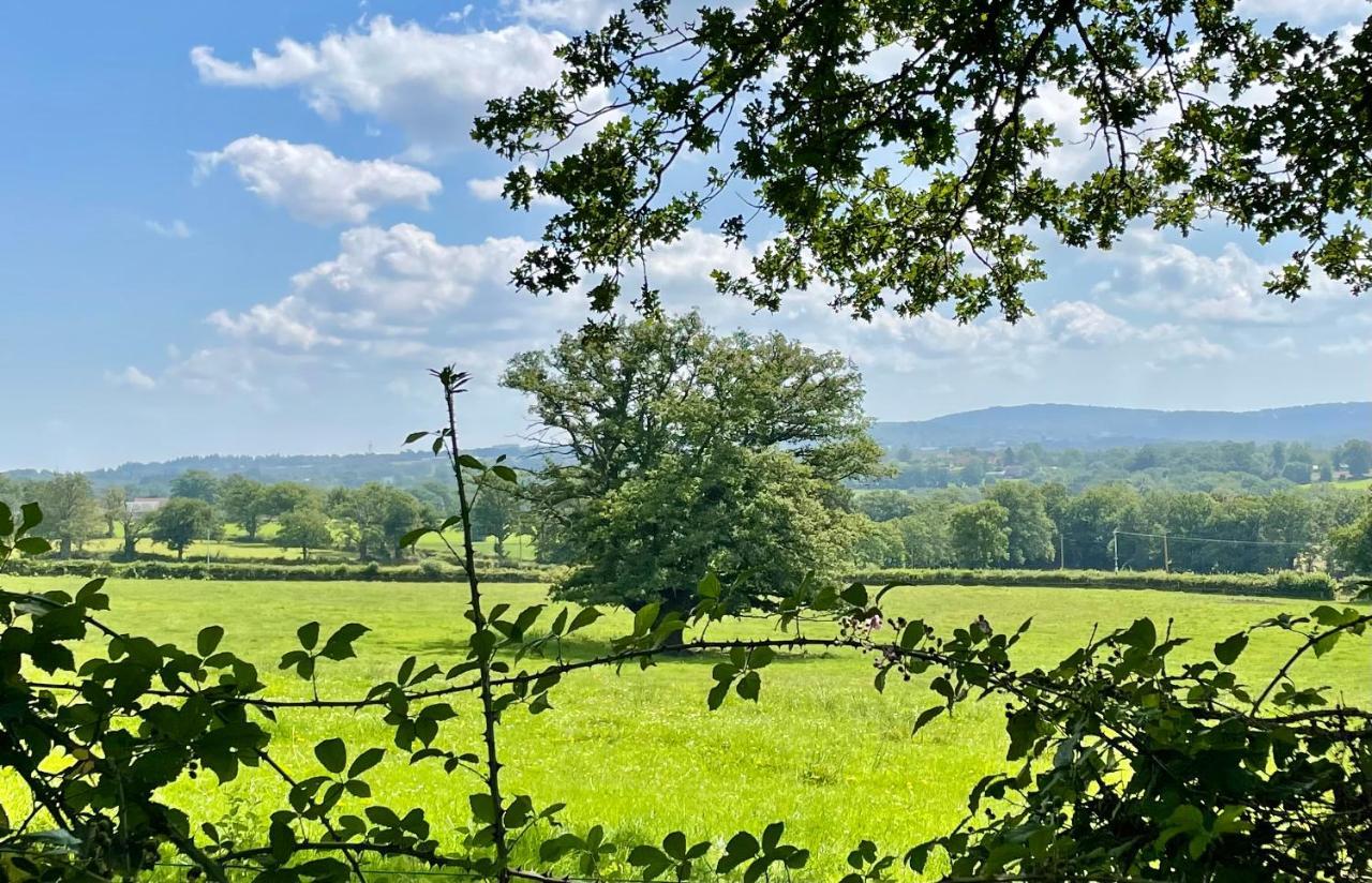 Domaine Le Rianon * Malleret-Boussac
