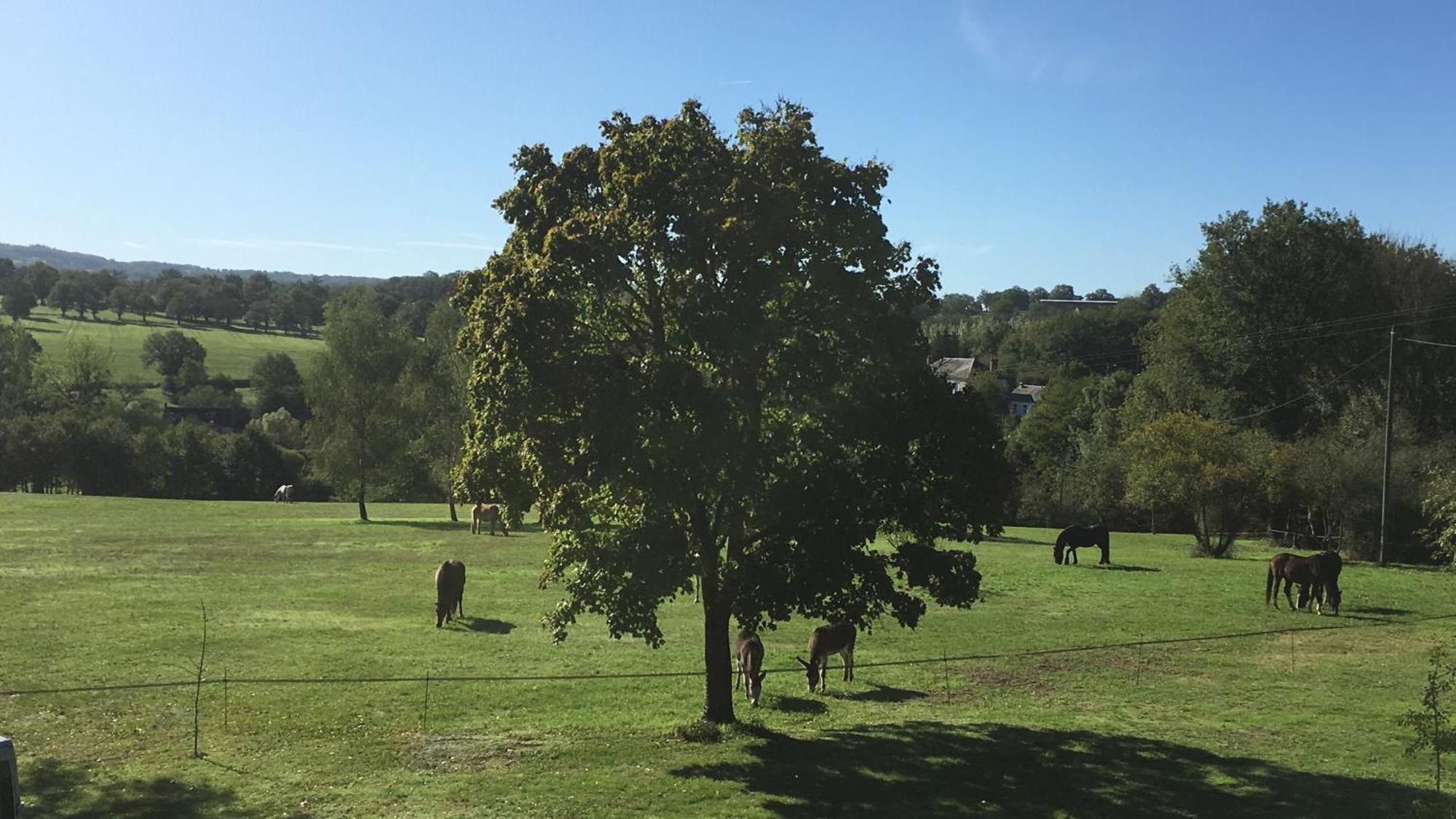Agroturismo Domaine Le Rianon Malleret-Boussac