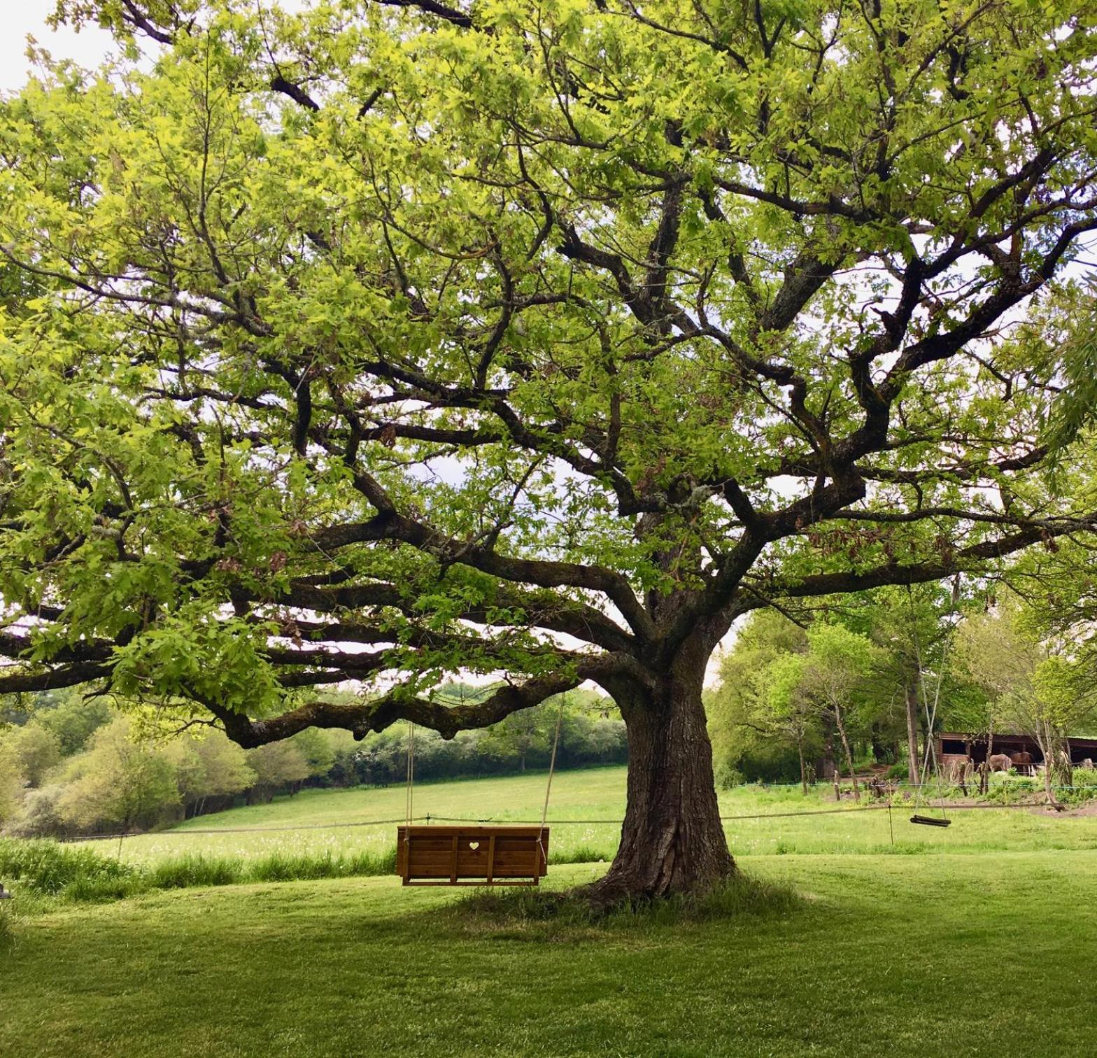 Domaine Le Rianon Agroturismo Malleret-Boussac