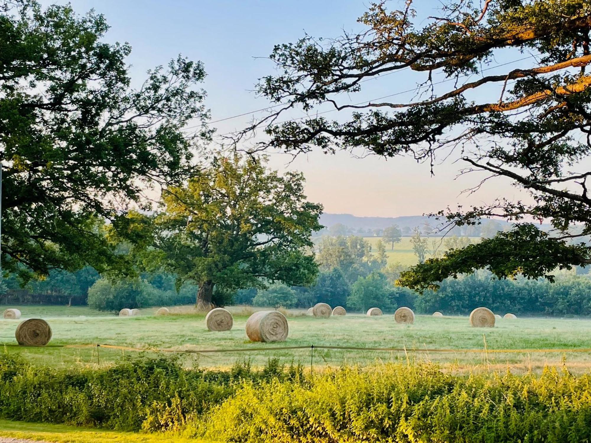 Domaine Le Rianon