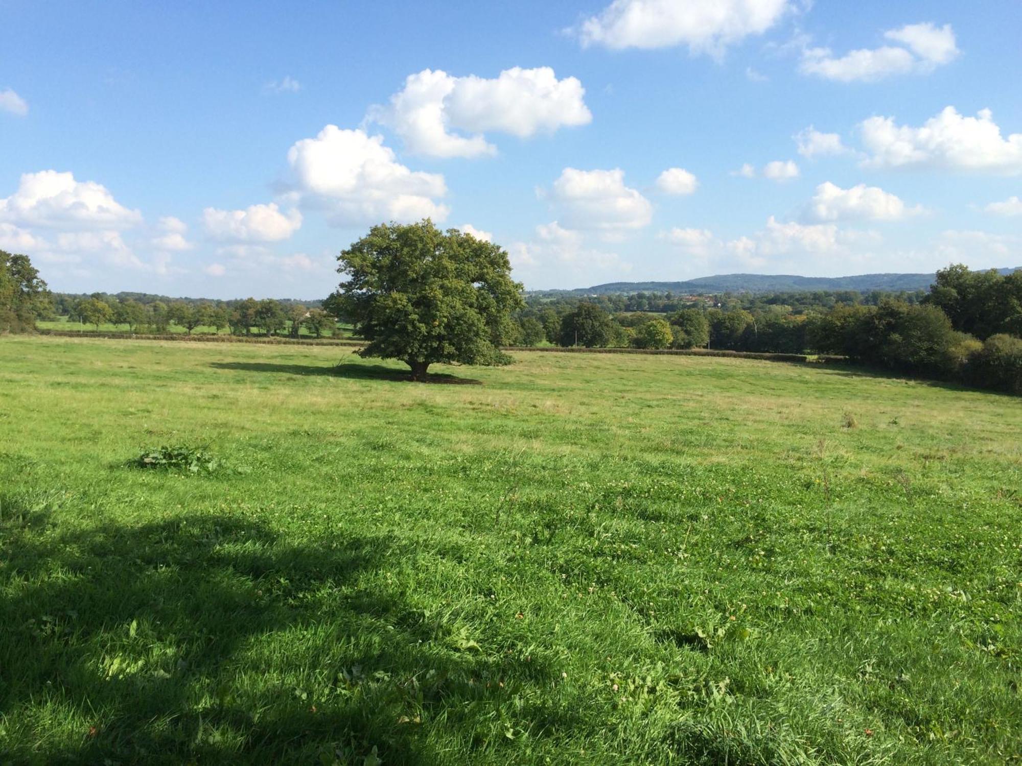 Domaine Le Rianon Malleret-Boussac