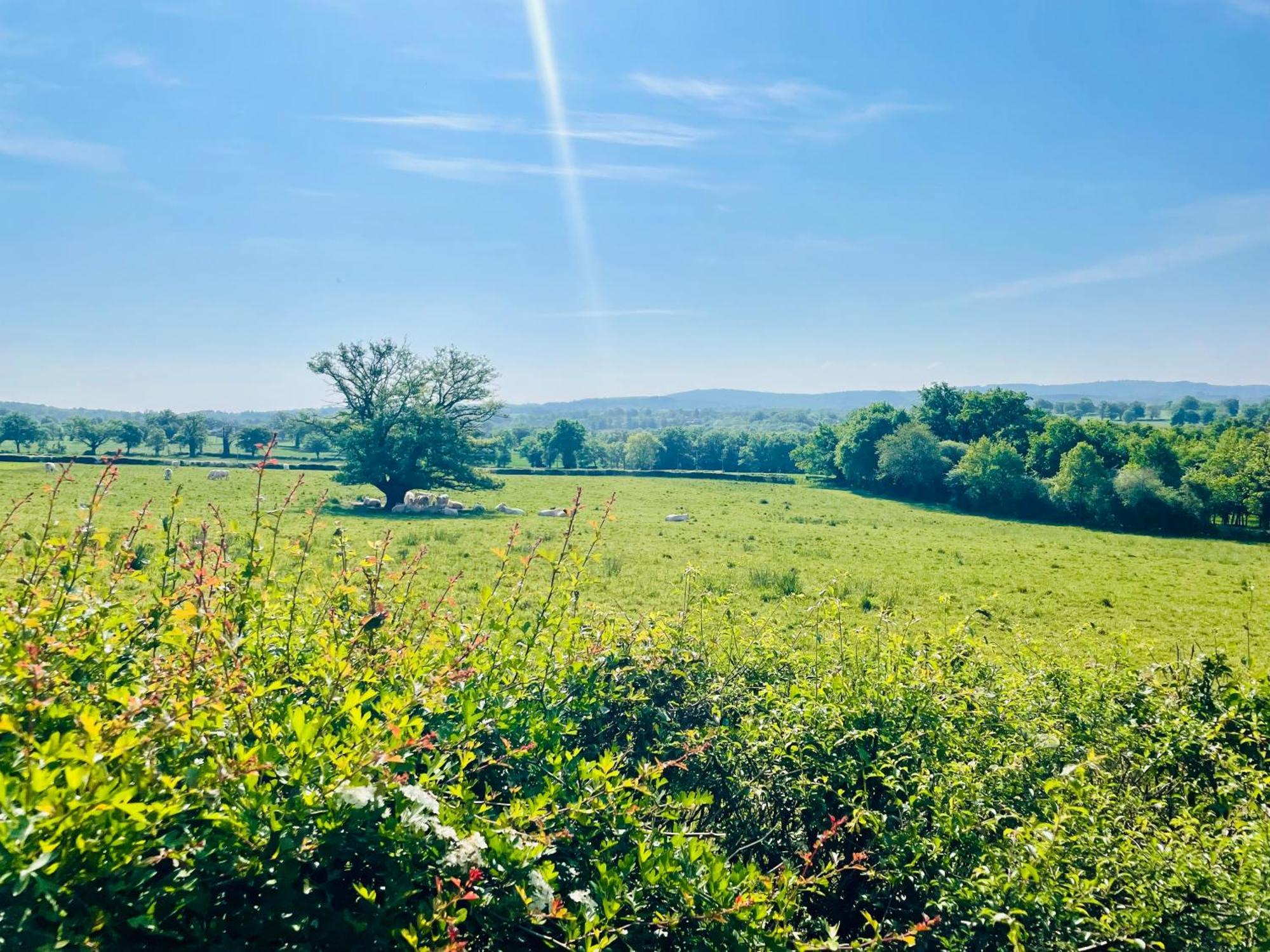 Domaine Le Rianon Agroturismo *