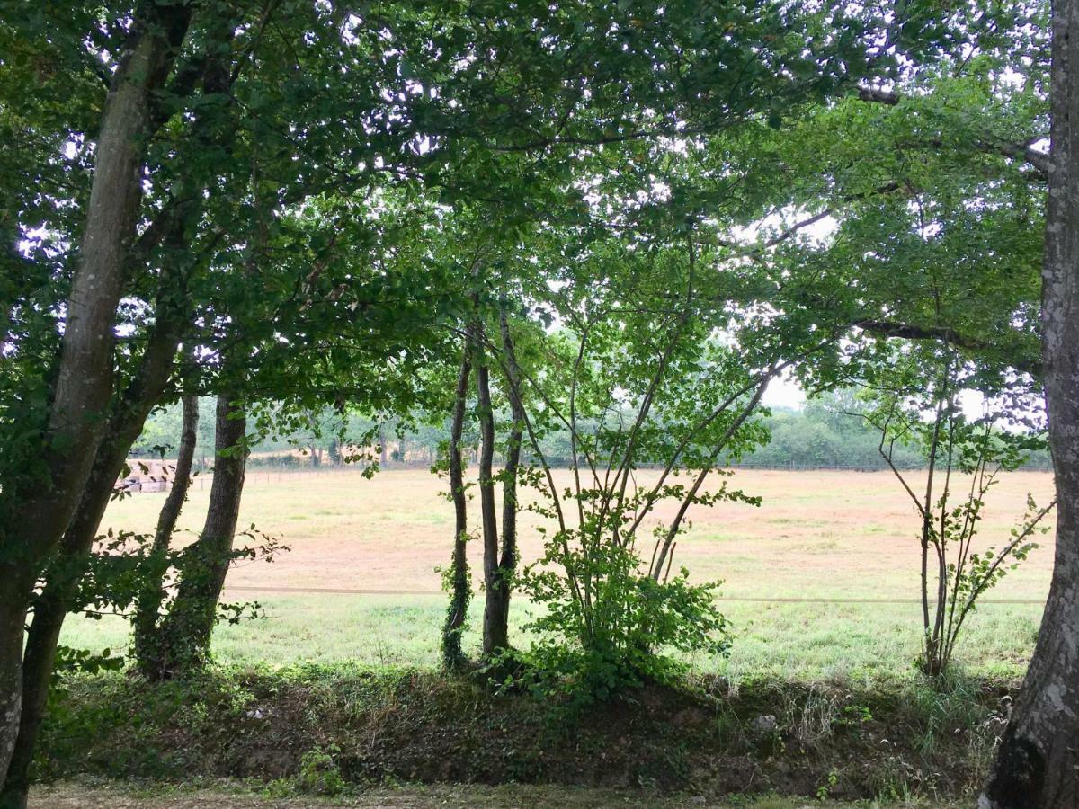 Farm stay Domaine Le Rianon Malleret-Boussac